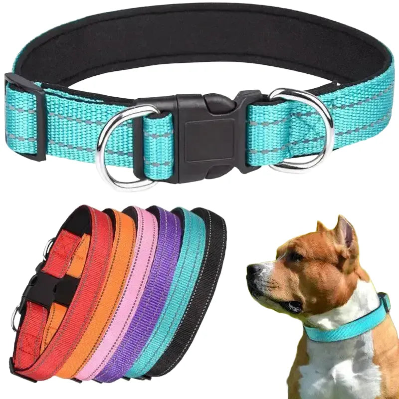 Dog Collar - Medium-Large Pets Safety — product view 1