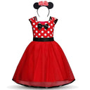 Minnie Mouse Toddler Birthday Dress For Magical Celebrations
