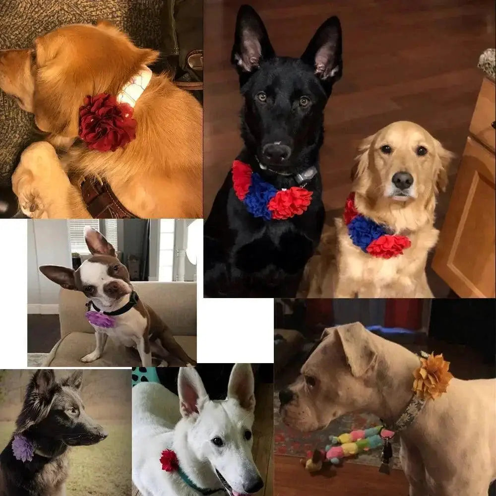 Chic Floral Pet Collar With Bow Tie For Stylish Pets
