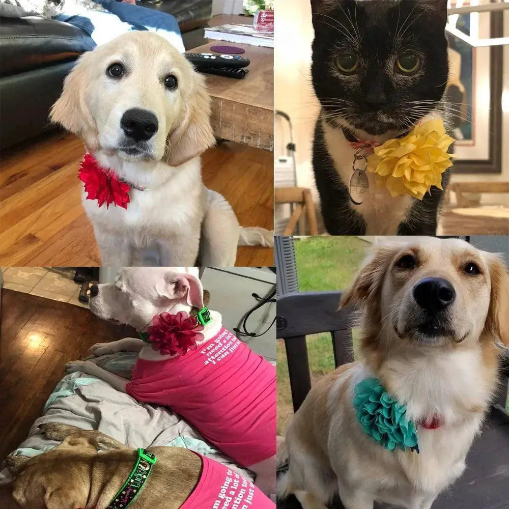 Chic Floral Pet Collar With Bow Tie For Stylish Pets