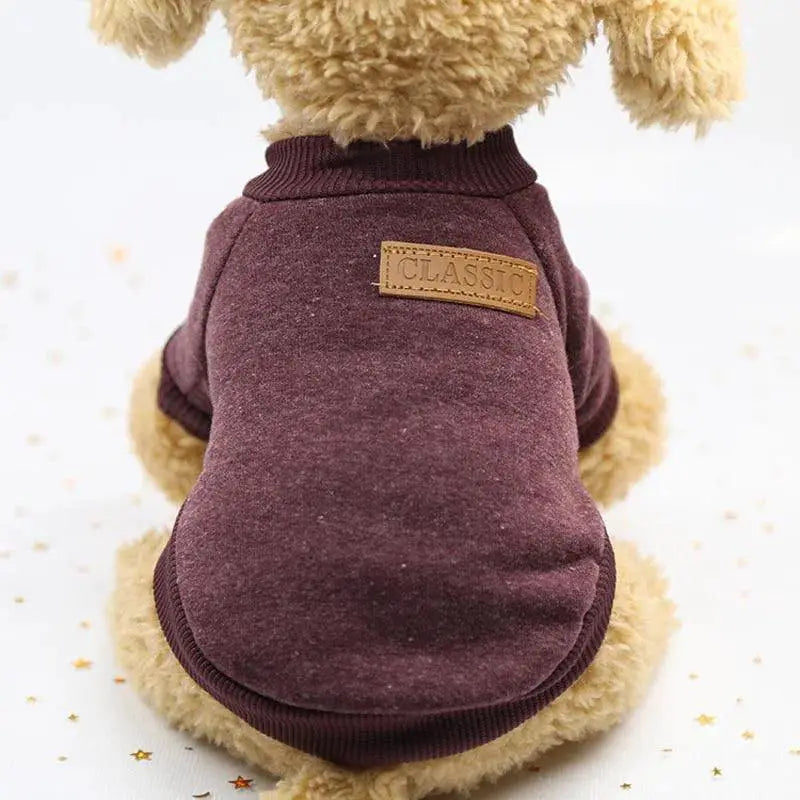 Pawstrip Designer Dog Jacket For Small Breeds Winter Wear
