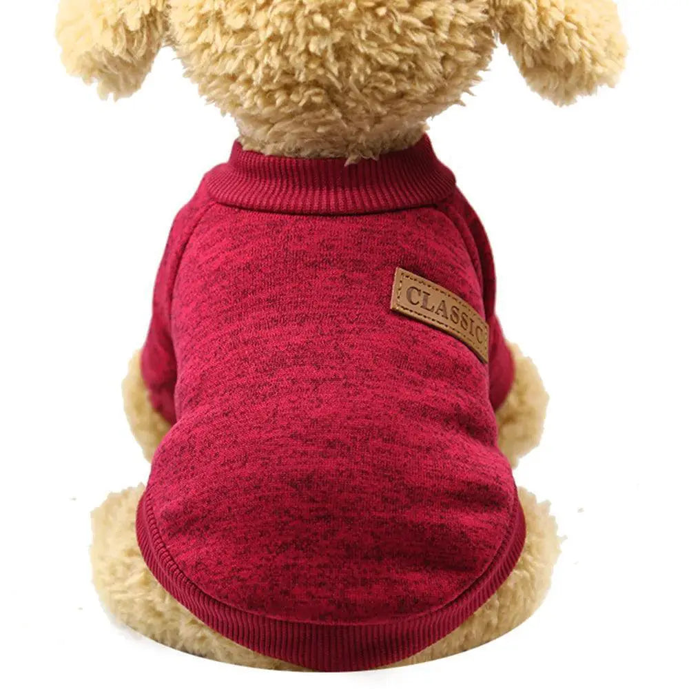 Pawstrip Designer Dog Jacket For Small Breeds Winter Wear