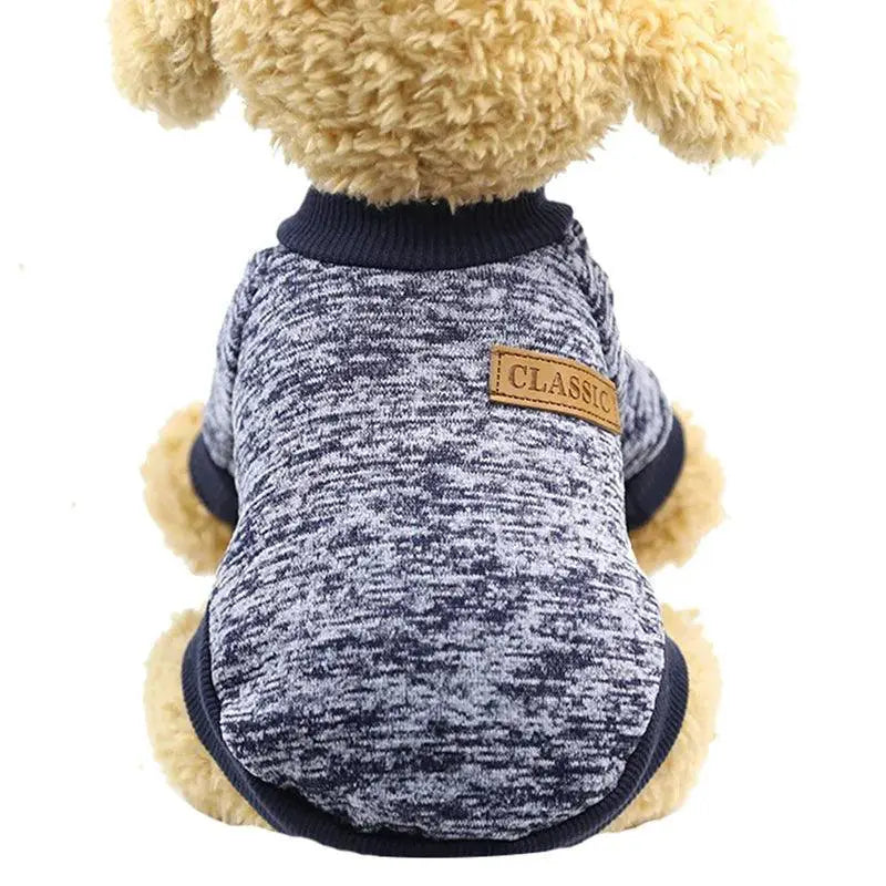 Pawstrip Designer Dog Jacket For Small Breeds Winter Wear
