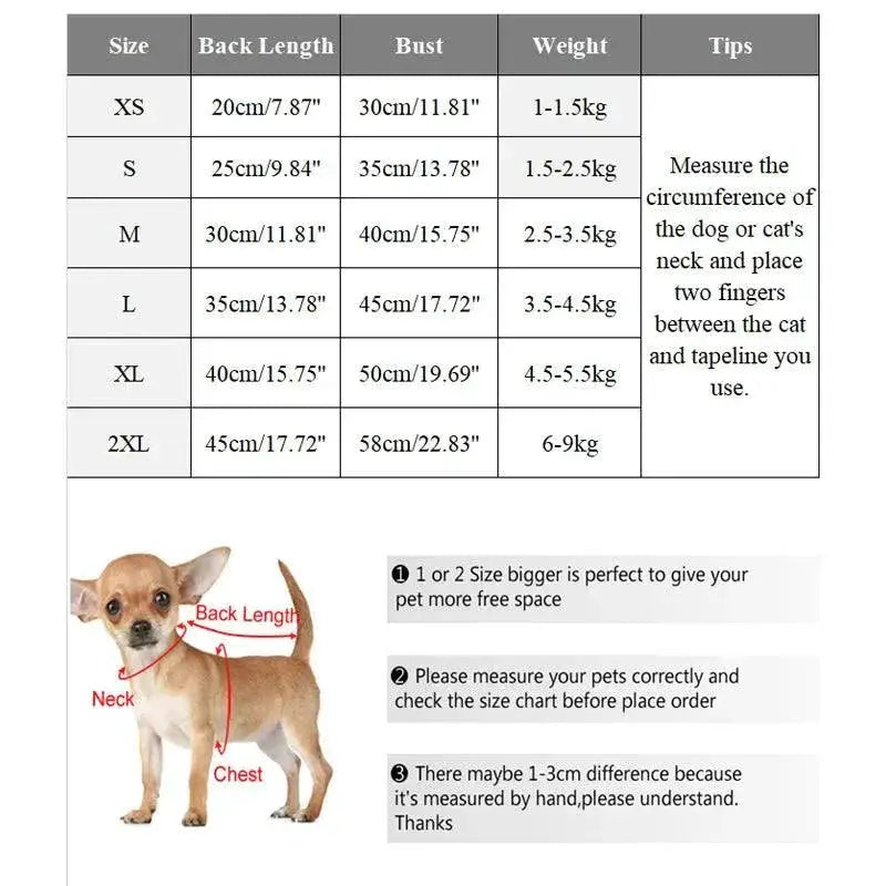 Pawstrip Designer Dog Jacket For Small Breeds Winter Wear