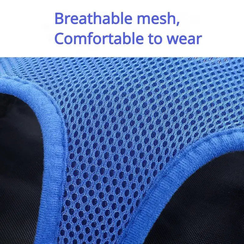 PetVoyage Mesh Carrier Backpack For Dogs And Cats Breathable