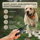 Remote Dog Training Collar for Obedience