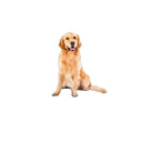 Waterproof Dog Car Seat Cover for Safety