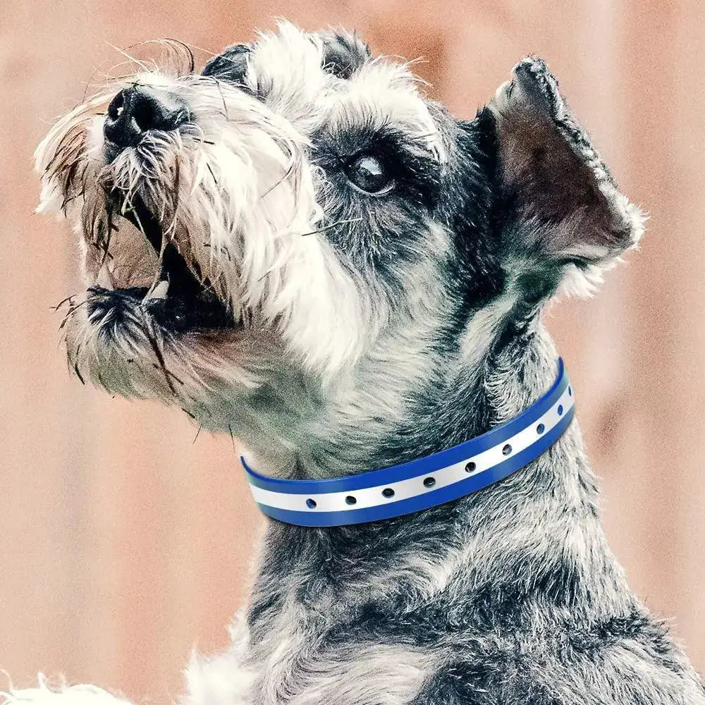 Adjustable Waterproof Reflective Dog Collar Outdoor Safety