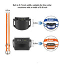 Reflective Dog Collar for Outdoor Safety