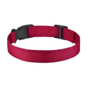 Reflective Dog Collar for Outdoor Safety