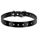Reflective Dog Collar for Outdoor Safety