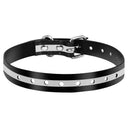 Reflective Dog Collar for Outdoor Safety