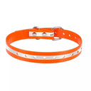 Reflective Dog Collar for Outdoor Safety
