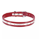 Reflective Dog Collar for Outdoor Safety