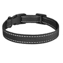 Reflective Dog Collar for Outdoor Safety