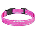 Reflective Dog Collar for Outdoor Safety