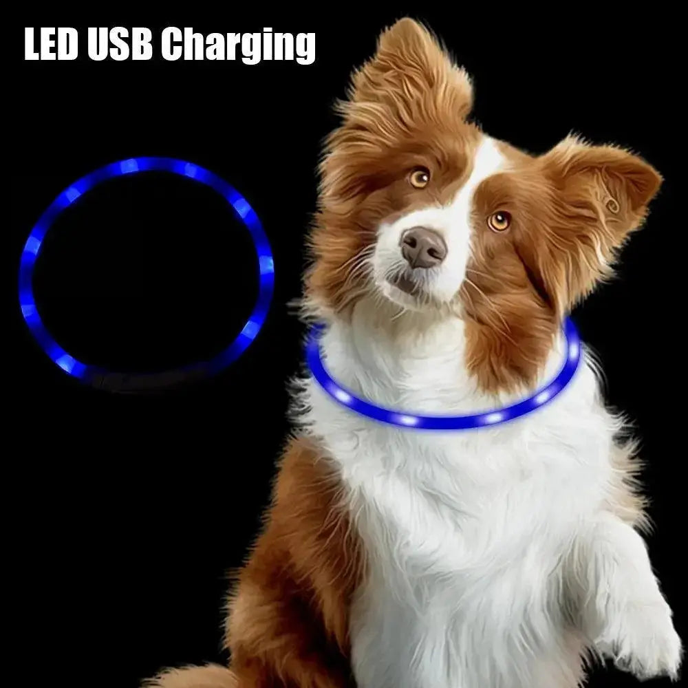 LED Pet Safety Collar For Dogs Night Visibility Glow
