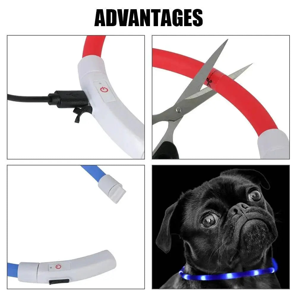 LED Pet Safety Collar For Dogs Night Visibility Glow