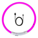LED Dog Collar for Safe Night Walks