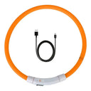 LED Dog Collar for Safe Night Walks