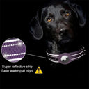 AirTag GPS Dog Collar for Tracking Daily