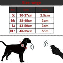 AirTag GPS Dog Collar for Tracking Daily