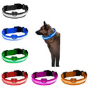 Night Safety LED Pet Collar for Walks