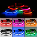 Night Safety LED Pet Collar for Walks