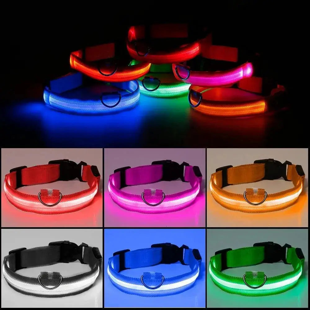Light Up LED Pet Collar for Night Visibility Waterproof