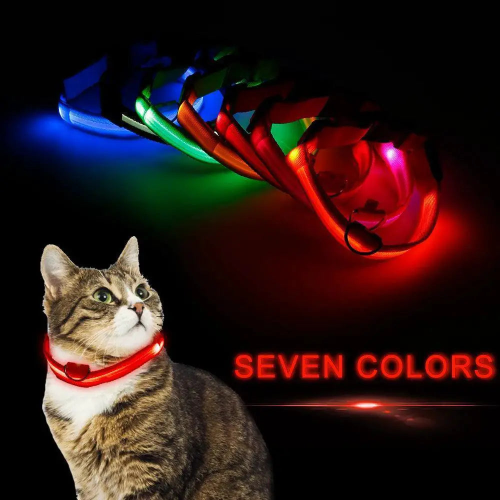 Light Up LED Pet Collar for Night Visibility Waterproof