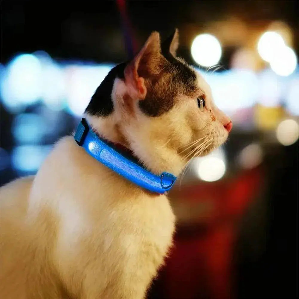 Light Up LED Pet Collar for Night Visibility Waterproof