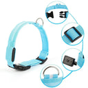 Night Safety LED Pet Collar for Walks