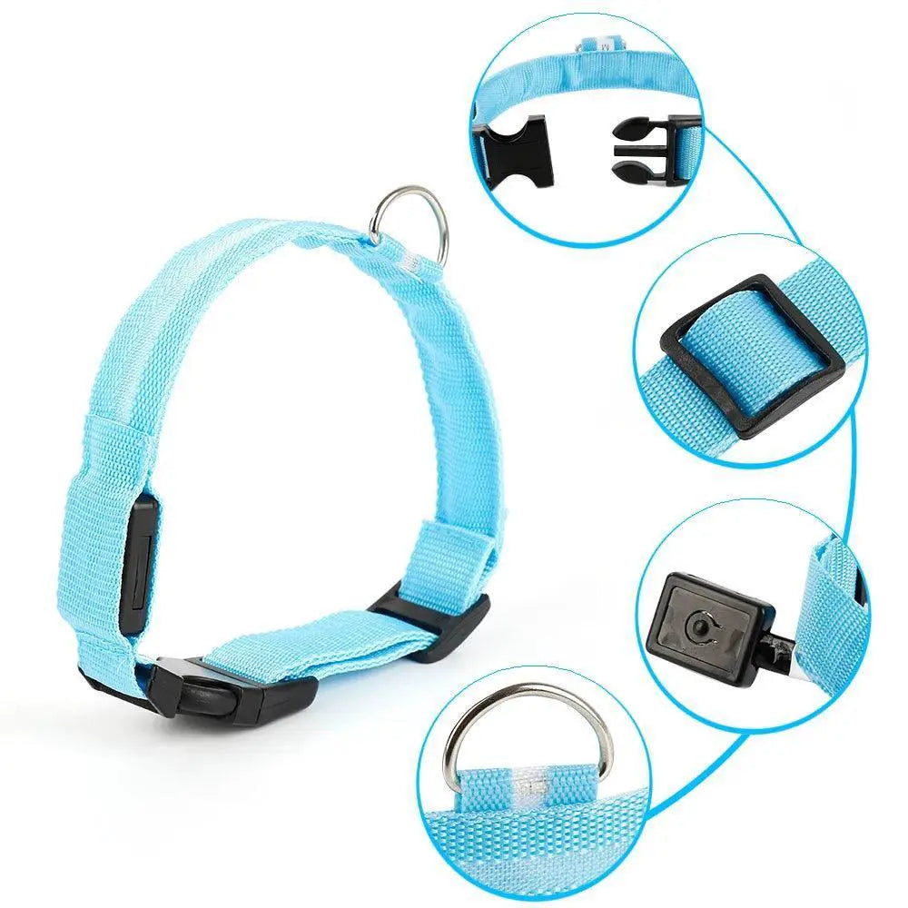 Light Up LED Pet Collar for Night Visibility Waterproof