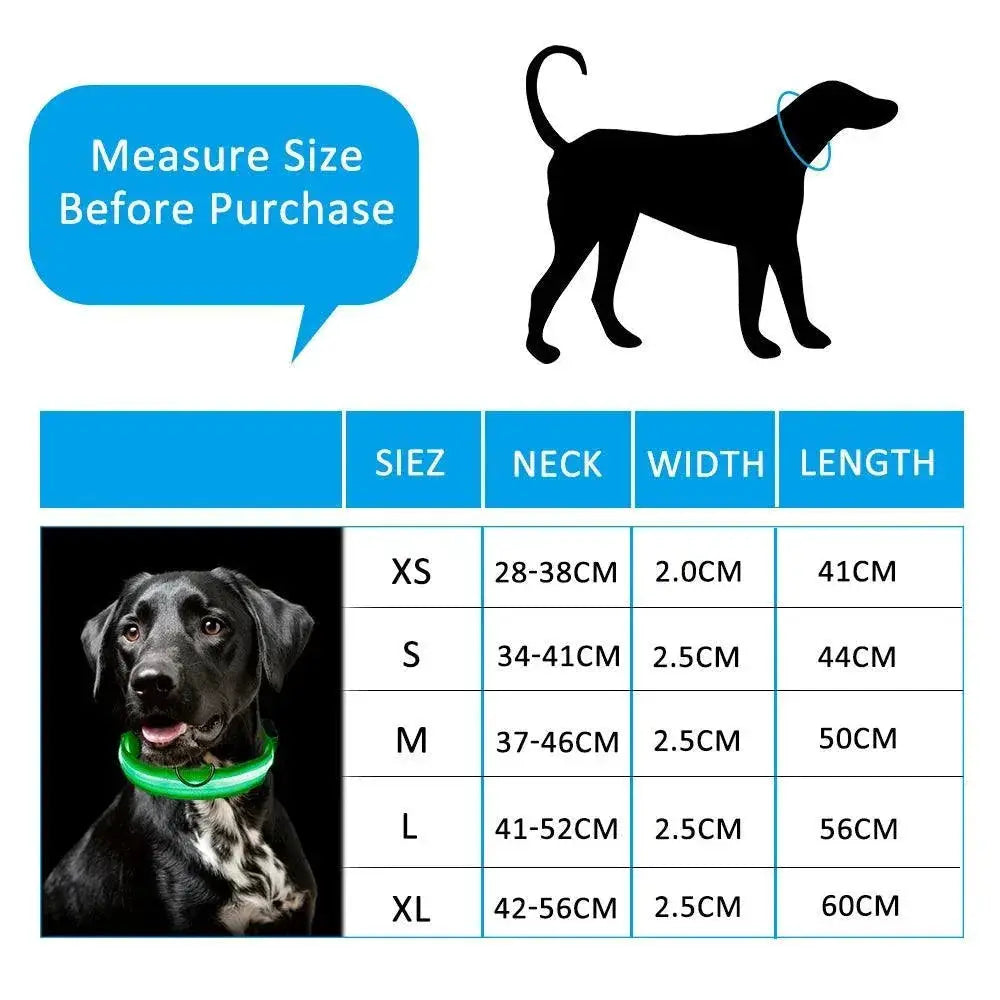 Light Up LED Pet Collar for Night Visibility Waterproof