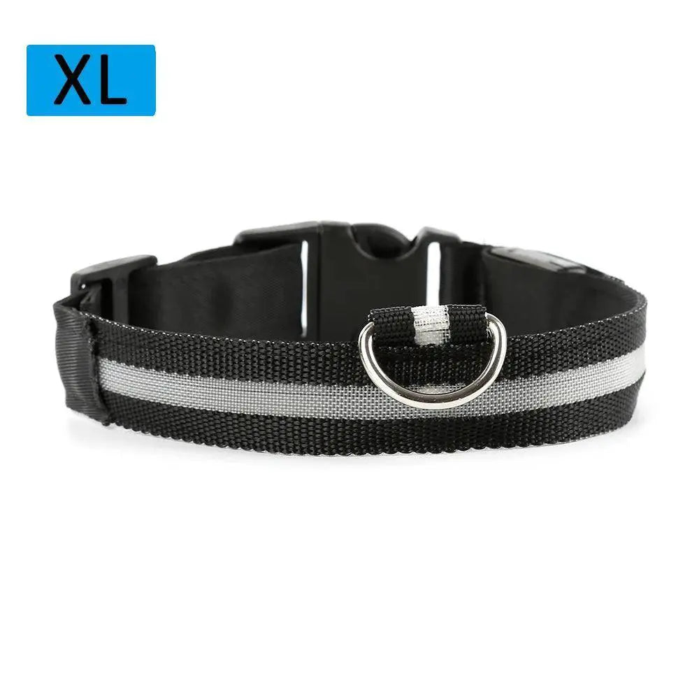 Light Up LED Pet Collar for Night Visibility Waterproof
