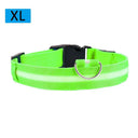 Night Safety LED Pet Collar for Walks