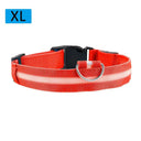 Night Safety LED Pet Collar for Walks