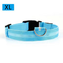 Night Safety LED Pet Collar for Walks