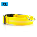 Night Safety LED Pet Collar for Walks