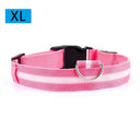 Night Safety LED Pet Collar for Walks
