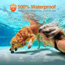 Dog Training Collar With Remote And Bark Control System