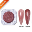 Aurora Shimmering Nail Flakes Kit For Easy Nail Art