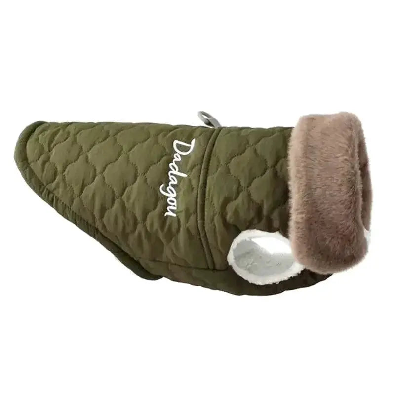 Winter Dog Jacket For Small Breeds Warm And Stylish