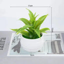 Durable Bonsai Set for Office Decor