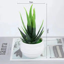 Durable Bonsai Set for Office Decor