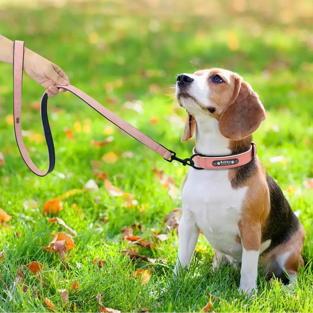 Bespoke Leather Dog Collar And Leash For Elegant Walks
