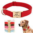 Weatherproof Dog Collar and Leash Set