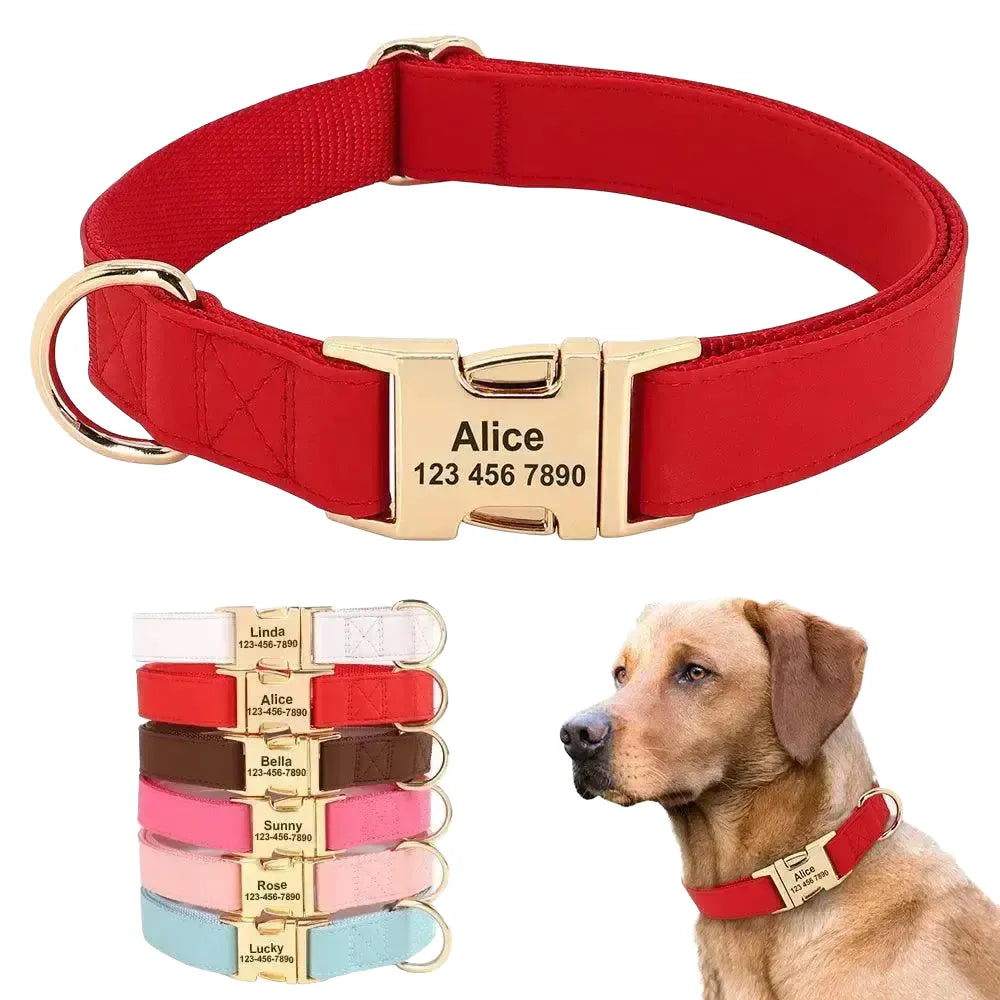 Weatherproof Dog Collar and Leash Set — product view 1