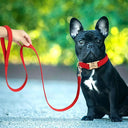 Weatherproof Dog Collar and Leash Set