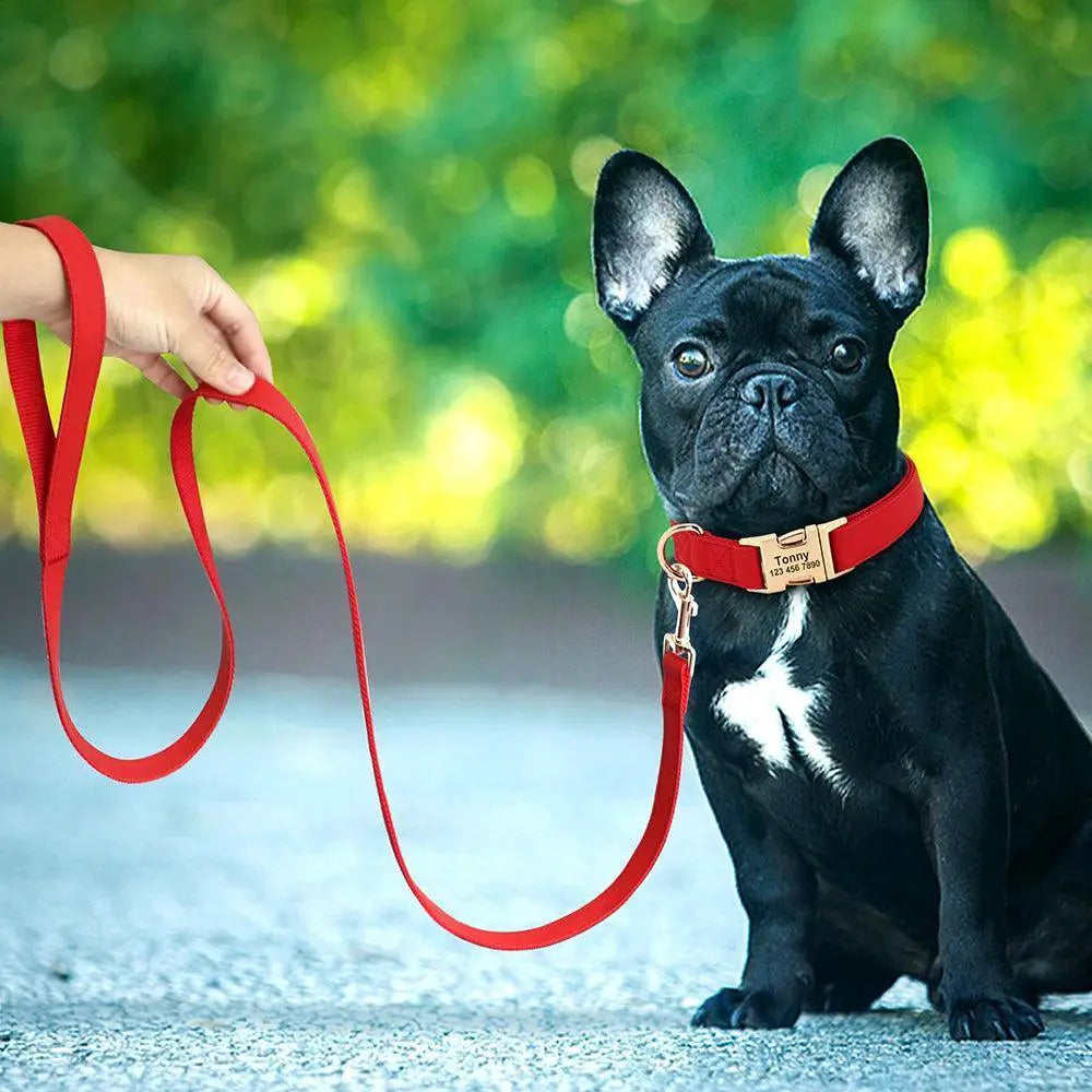 Custom Dog Collar and Leash Set for Personalized Dogs